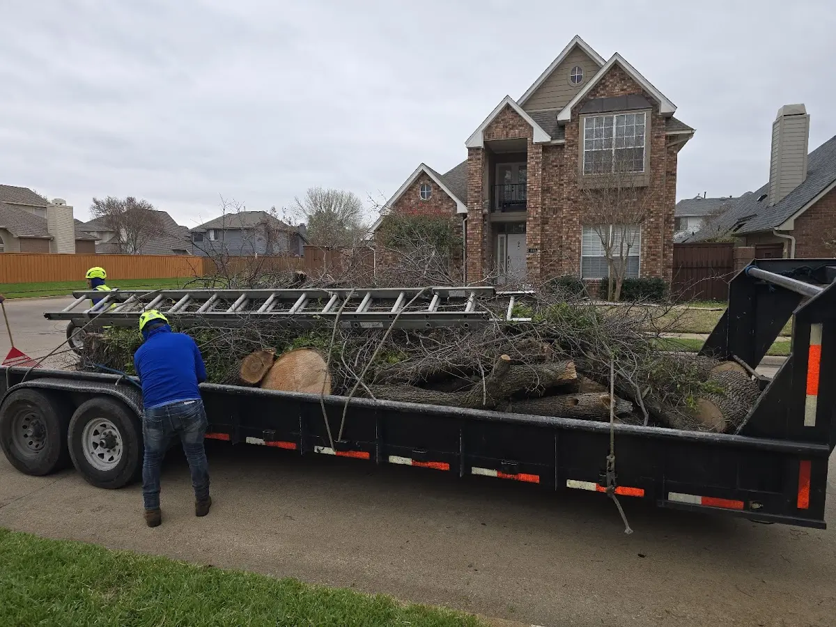 Expert Tree Pest Control with proper safety equipment in Merritt Island